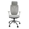 Helly executive chair front view