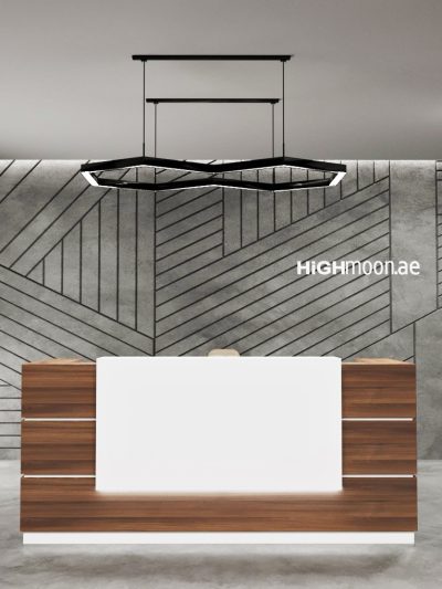 Skep Reception Desk With White Panel