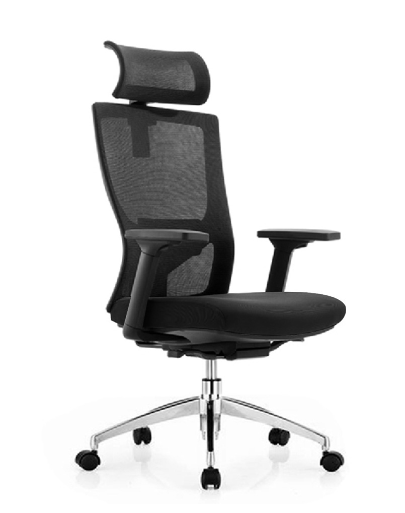 Feli Ergonomic Chair