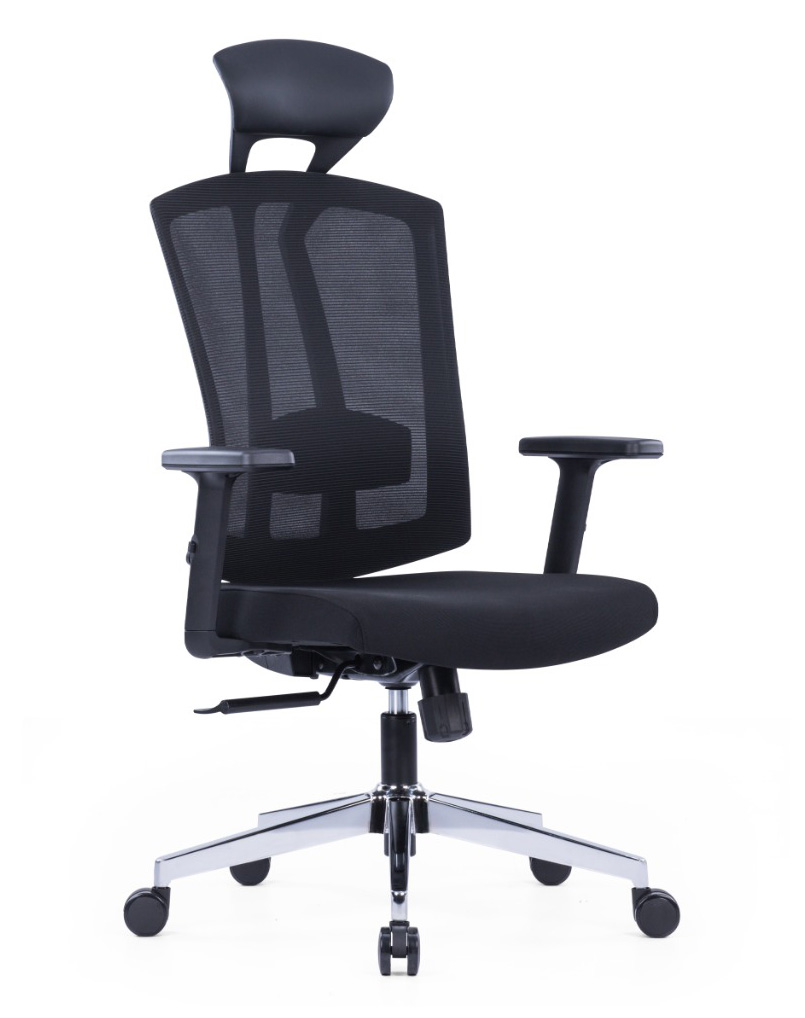 Amy Ergonomic Chair With Chrome Base