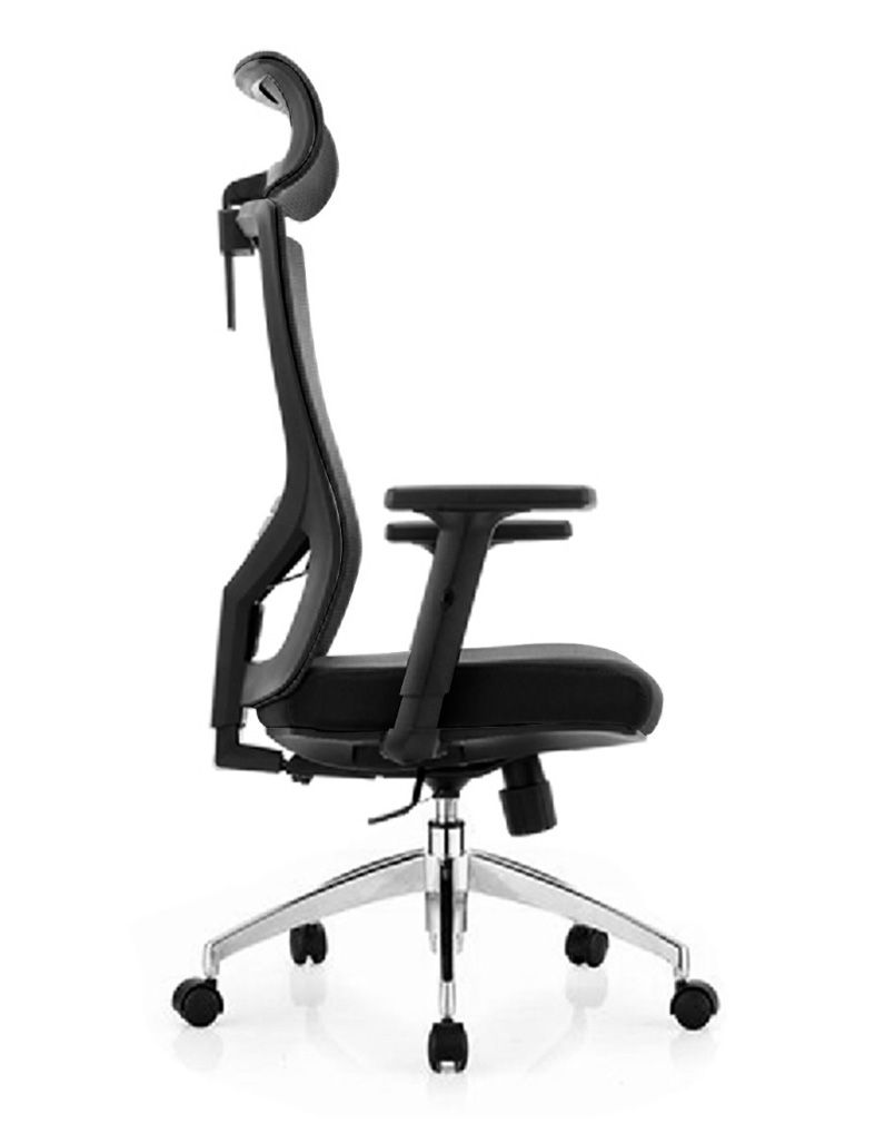 Feli Ergonomic Chair