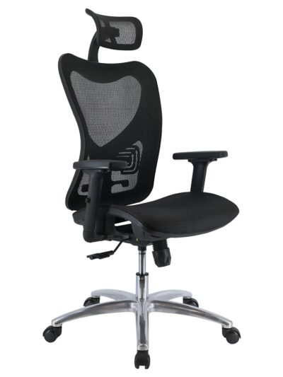 Bot-Executive-Chair