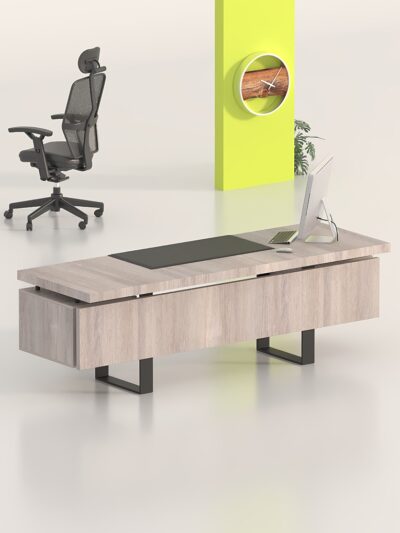 bionic executive desk