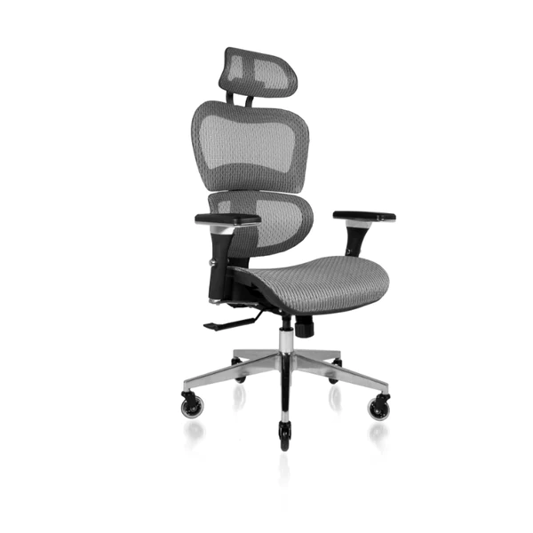 The Ergonomics of Office Chairs - Highmoon Office Furniture ...